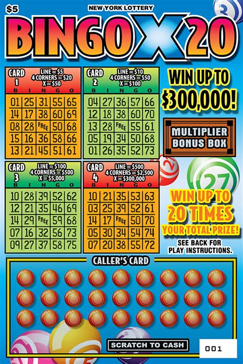 bingo lotto result
